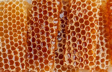 The Benefits Of Eating Honeycomb Explained - Revive A Bee