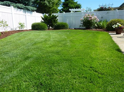 Free Images : nature, grass, plant, lawn, home, walkway, summer, green ...