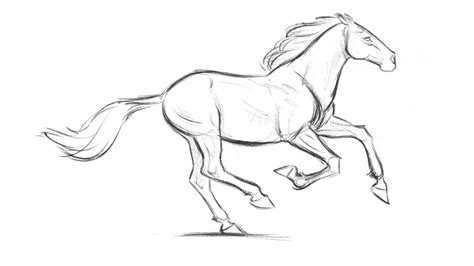 Simple Running Horse Drawing Easy : Realistic Horse Head Drawing ...