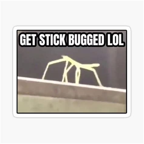 Stick Bug Meme Gifts & Merchandise | Redbubble