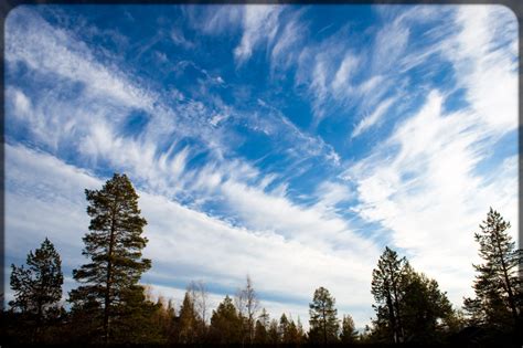 Ruska relief: 35 stunning photos of Finland's autumn colors - Ink Tank