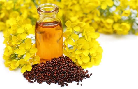 100% Refined Natural Mustard Seed Oil, Packaging Size: 500 mL, Rs 70 /litre | ID: 19410826348