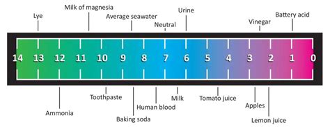 Ph Examples Of Acids And Bases