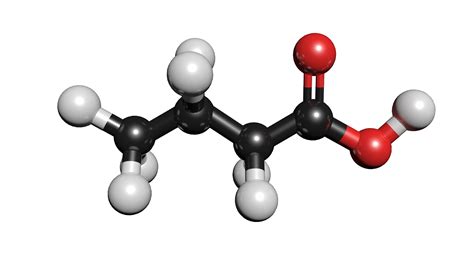 3D C4h8o2 Butyric Acid Model - TurboSquid 1423470