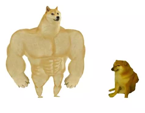 Doges Blank Template - Imgflip