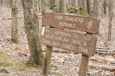 Hiking at Vogel State Park in Northern Georgia | MountainModernLife.com