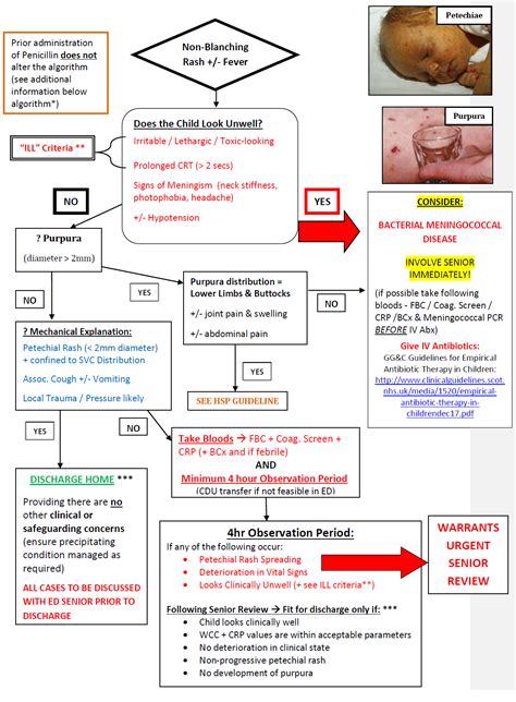 Management of the Child with a Non-Blanching Rash (NBR): (i.e. Petechiae, Purpura & Ecchymoses)