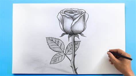 ROSE Drawing Easy 🌹| How to Draw a Rose step by step - YouTube