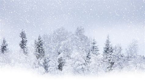 Snowfall Winter Precipitation Wallpaper