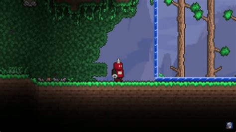 12 Best Terraria Vanity Sets - AVIDGAMER.GG