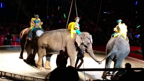 Shrine Circus: Elephants Show at Target Center, MN 11/28/2015 - YouTube