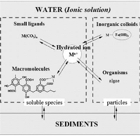 Scheme of interactions of metal ions in aquatic natural system. Metal... | Download Scientific ...