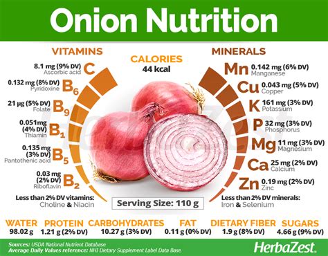 Infographic: Onion can reduce inflammation and act as a natural antibiotic. #Herbazest #onion # ...