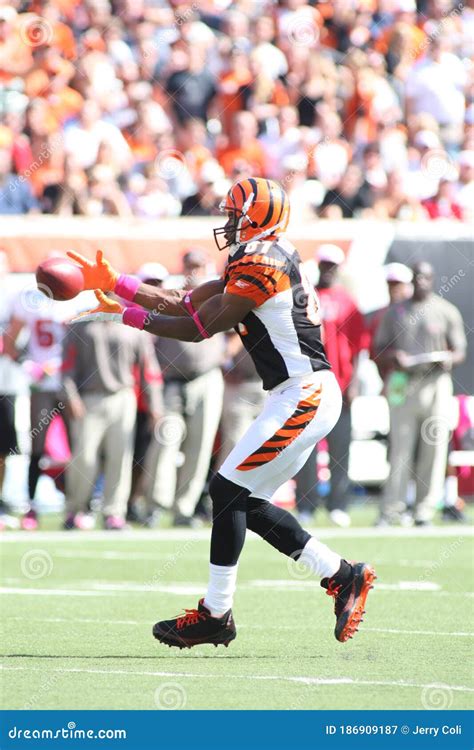 Terrell Owens, Cincinnati Bengals Wide Receiver Editorial Photography - Image of wide, receiver ...