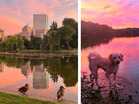 We asked for your best sunset photos from this summer. Here are our favorites of Boston.