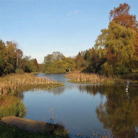 Dog walk at Castle Howard Arboretum · Yorkshire (North) · Walkiees