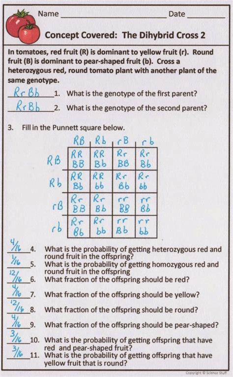 Science Stuff: Genetics Problems and Activities for Biology Interactive ...