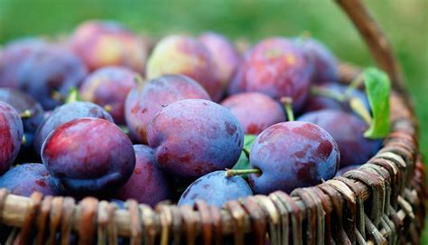 Purple Fruits and Vegetables Are the Newest Superfoods