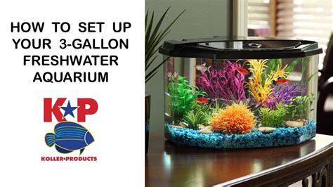 How to Set Up Your FRESHWATER AQUARIUM 3-Gallon – HousePetsCare.com