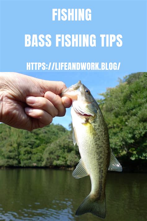 Bass Fishing Tips