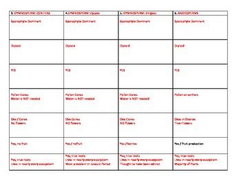 Plant Kingdom Chart by Mizzz Foster | Teachers Pay Teachers