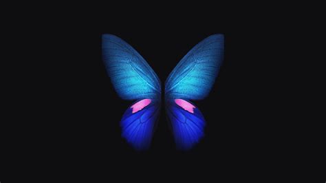 Samsung Galaxy Fold Blue Butterfly 4K Wallpapers | HD Wallpapers | ID ...