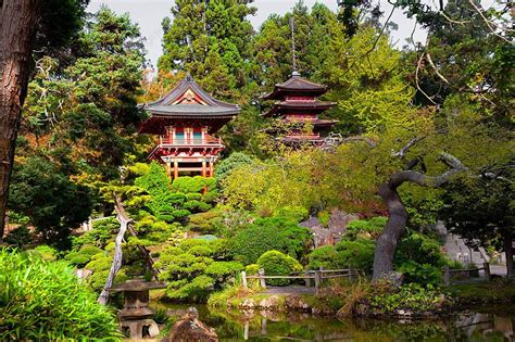 Japanese Tea Gardens Background Images, HD Pictures and Wallpaper For ...