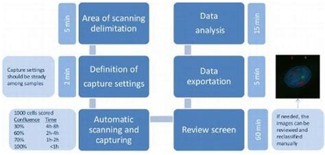 IJMS | Free Full-Text | Highly Sensitive Automated Method for DNA ...