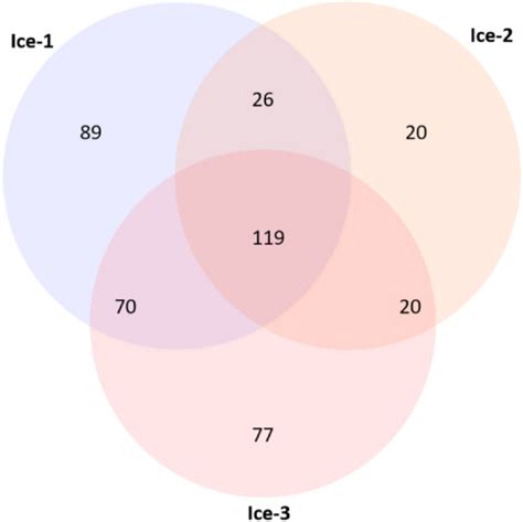 Microbiota entrapped in recently-formed ice: Paradana Ice Cave ...