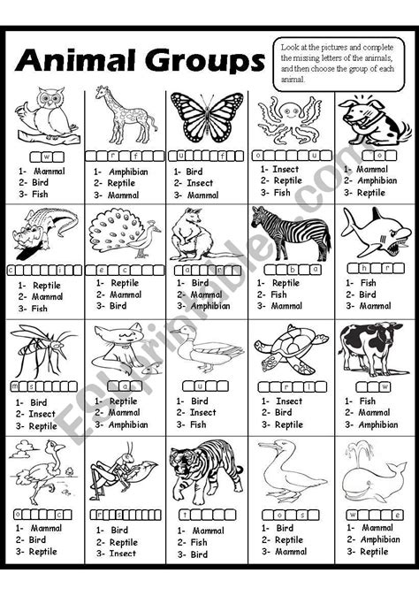 English worksheets: Animal Groups-2