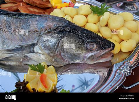 pike-perch Stock Photo - Alamy