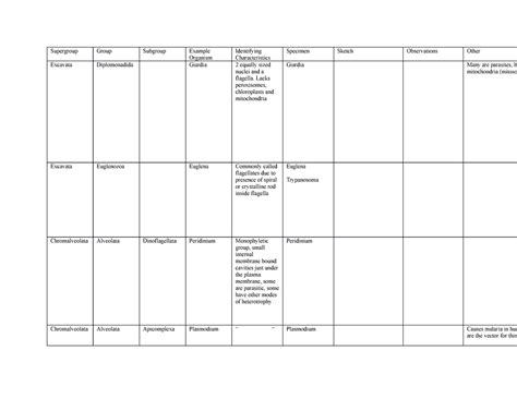 Biology Lab Midterm Study Guide - Supergroup Group Subgroup Example Organism Identifying - Studocu