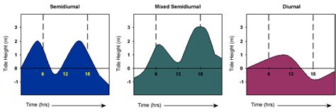 Biology Graphs: Tides