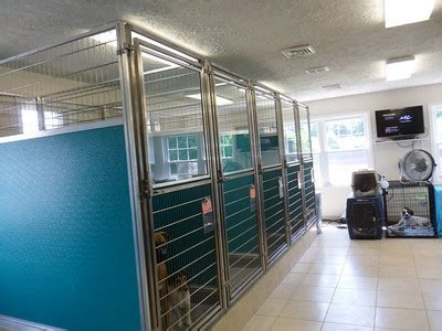 Cherrystone Veterinary Hospital - masonco