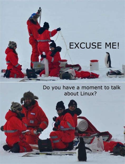 Tux | Funny pictures, Linux, Animal memes