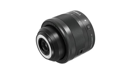 5 Best Canon Macro Lenses Under $500