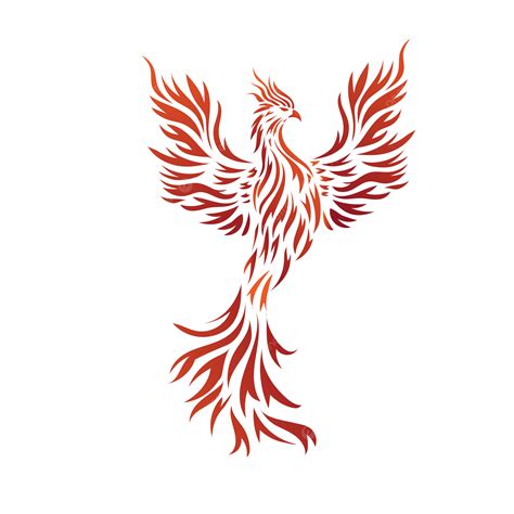 Phoenix Fire Bird Symbol Vector, Phoenix, Firebird, Fire PNG and Vector with Transparent ...