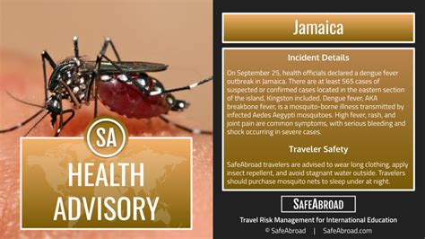 Health officials announce dengue fever outbreak in Jamaica on September ...