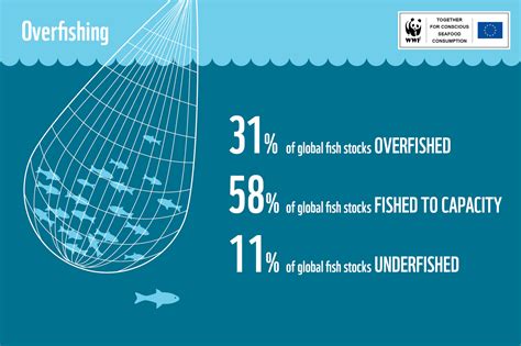 WWF MMI bulletin: October 2016 | WWF