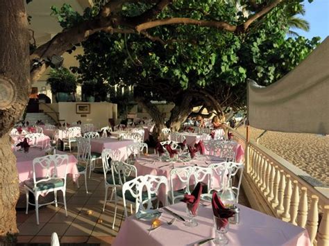 夕食 - Picture of Hau Tree Lanai, Honolulu - TripAdvisor