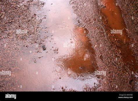 Mud Puddle Rain Stock Photos & Mud Puddle Rain Stock Images - Alamy