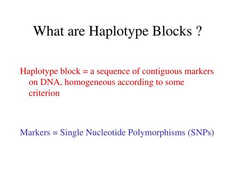 PPT - Haplotype Blocks PowerPoint Presentation, free download - ID:870259