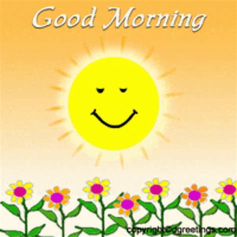 Good Morning Sun GIF - GoodMorning Sun Flowers - Discover & Share GIFs