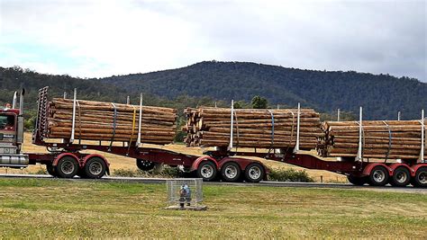 Fewer than one more log truck an hour, says State Government | The Mercury