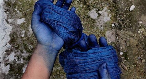 Natural Indigo Dyeing Process – Muezart India