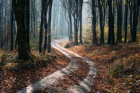 "Winding Forest Autumn Road" by Stocksy Contributor "Cosma Andrei" - Stocksy