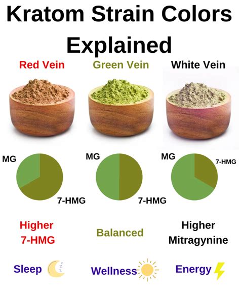 Kratom Strain Chart: Kratom Colors, Regions, and Strains Explained – Health Habits