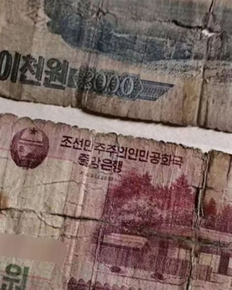 NORTH KOREA: Use of foreign currency forbidden to North Koreans. - MRI ...