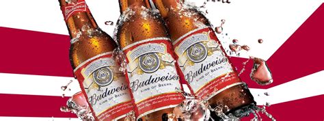 Why Anheuser-Busch InBev Has Thrived Since It Slashed Its Dividend ...