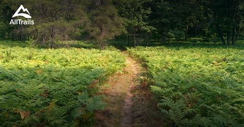 Best Trails near White Cloud, Michigan | AllTrails